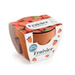 Radis et Capucine - Mini kit Fraisier - Terre Cuite - 6 cm - MEDIA_3D